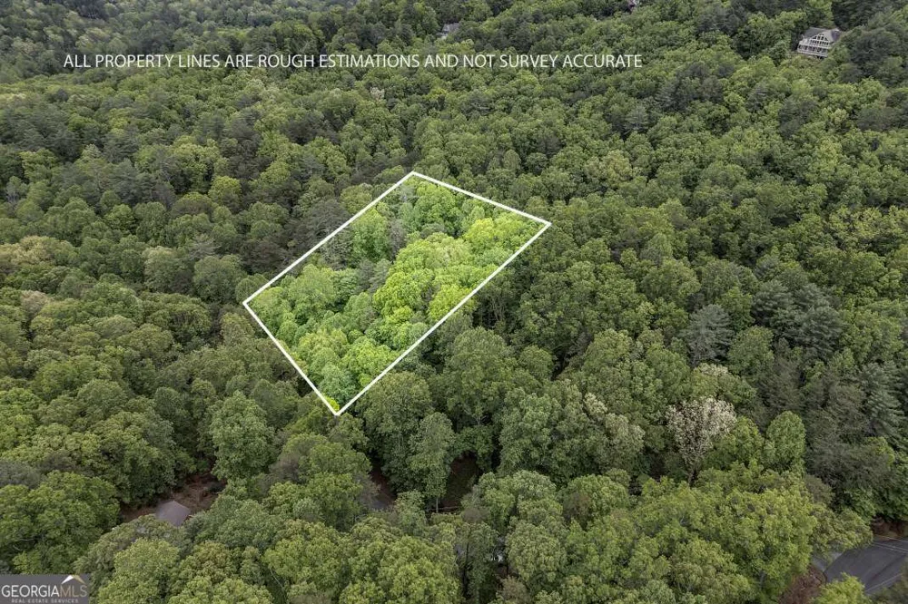 LOT 17 Lower Gap RD Sautee Nacoochee, GA 30571