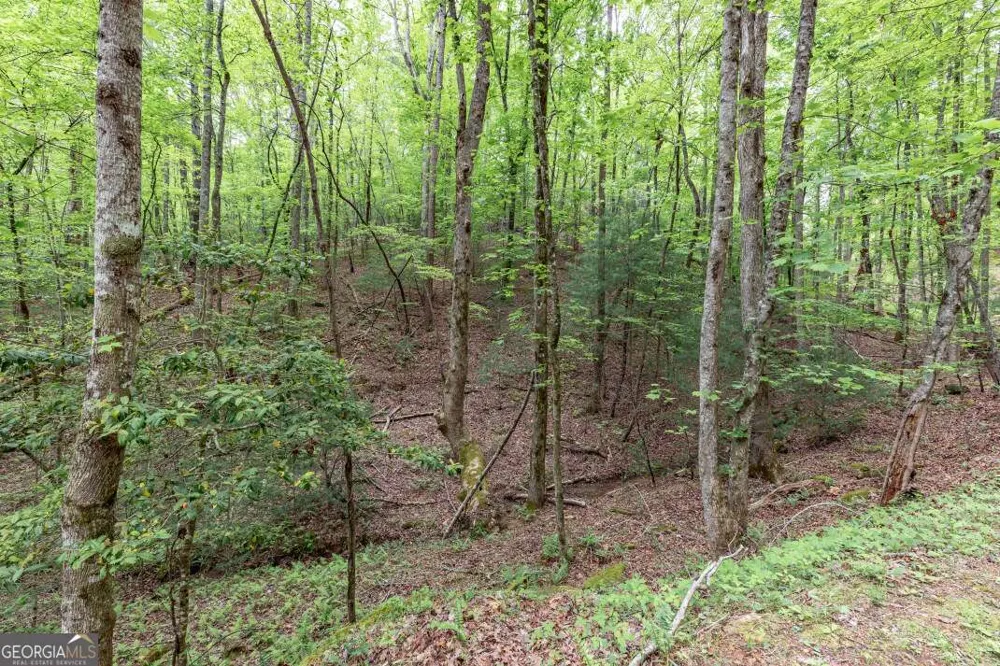 LOT 17 Lower Gap RD Sautee Nacoochee, GA 30571