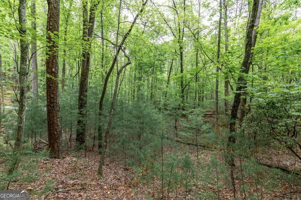 LOT 17 Lower Gap RD Sautee Nacoochee, GA 30571