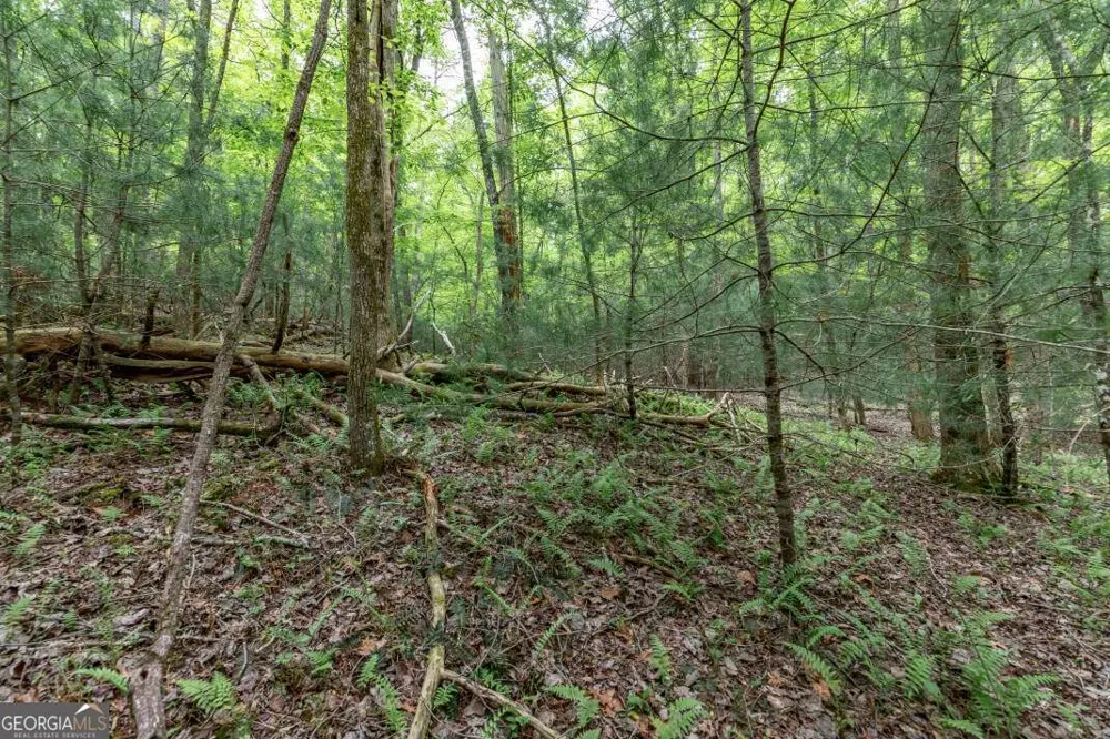 LOT 17 Lower Gap RD Sautee Nacoochee, GA 30571