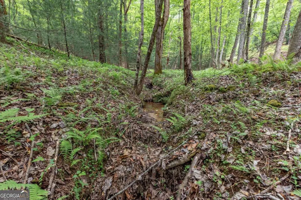 LOT 17 Lower Gap RD Sautee Nacoochee, GA 30571