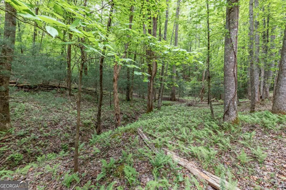 LOT 17 Lower Gap RD Sautee Nacoochee, GA 30571