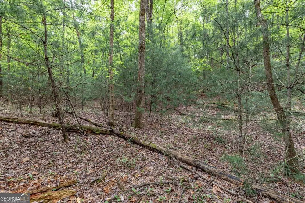 LOT 17 Lower Gap RD Sautee Nacoochee, GA 30571