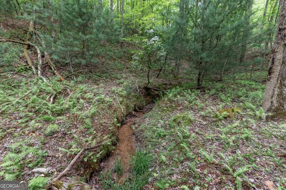 LOT 17 Lower Gap RD Sautee Nacoochee, GA 30571