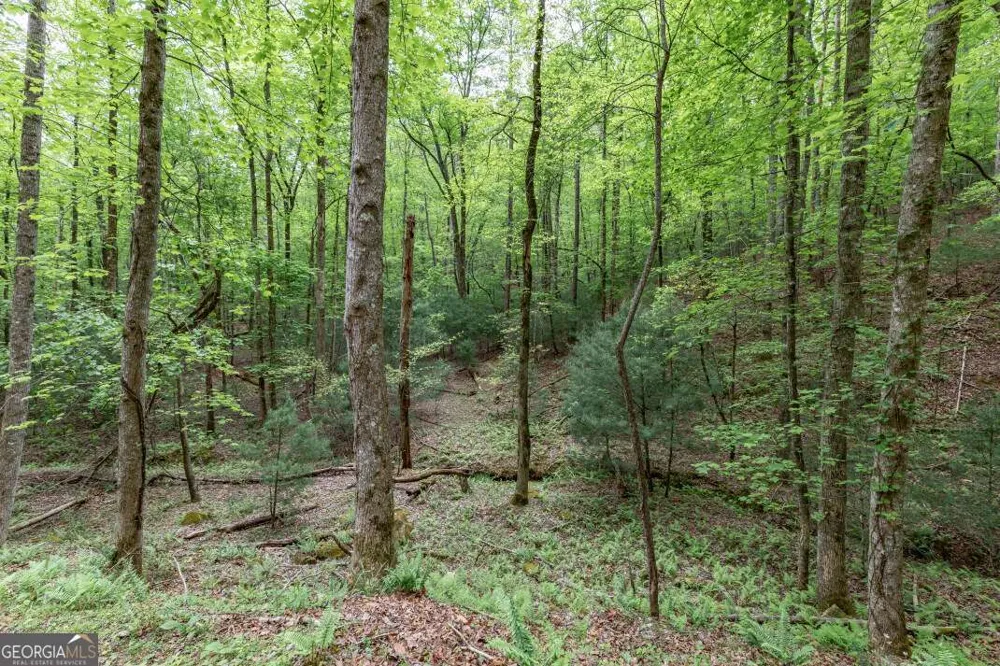 LOT 17 Lower Gap RD Sautee Nacoochee, GA 30571
