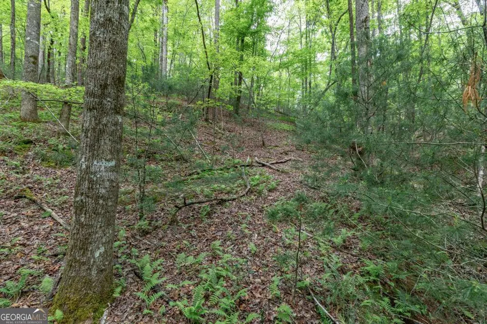 LOT 17 Lower Gap RD Sautee Nacoochee, GA 30571