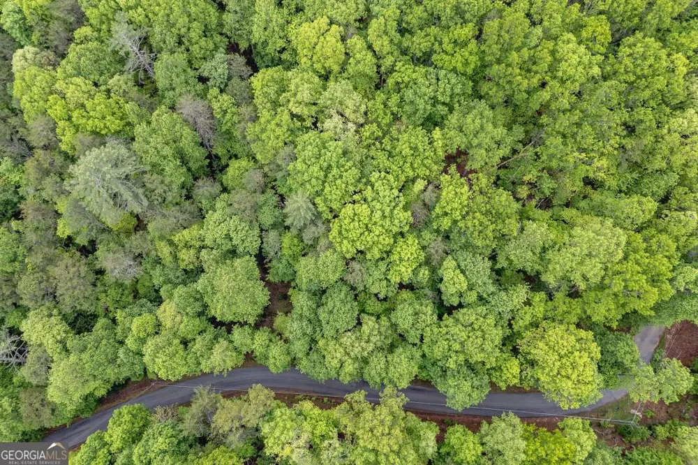 LOT 17 Lower Gap RD Sautee Nacoochee, GA 30571