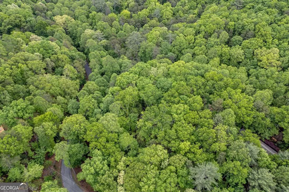 LOT 17 Lower Gap RD Sautee Nacoochee, GA 30571