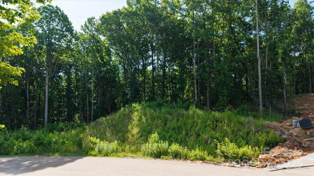 0 Honey Tree Lane Kannapolis, NC 28027