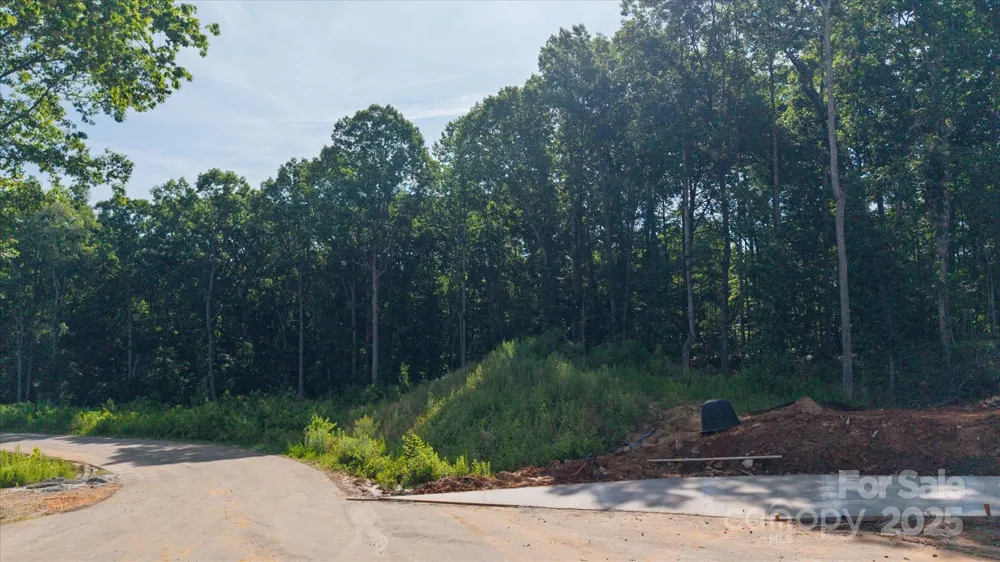 0 Honey Tree Lane Kannapolis, NC 28027
