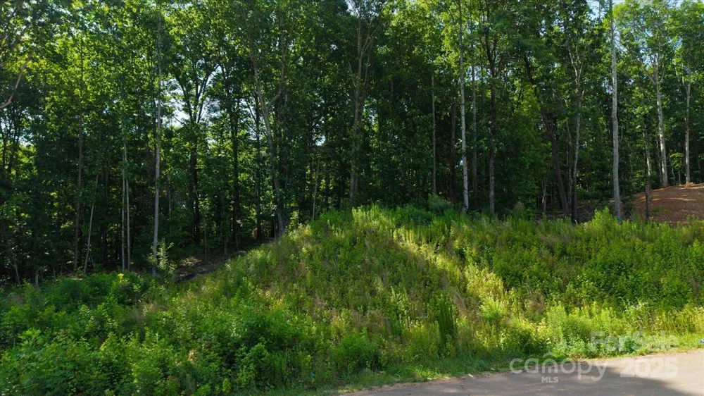 0 Honey Tree Lane Kannapolis, NC 28027