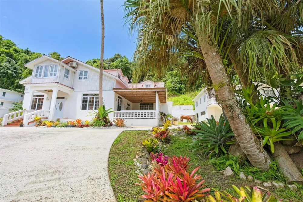 135 VILLA PEREZ Adjuntas, PR 00601