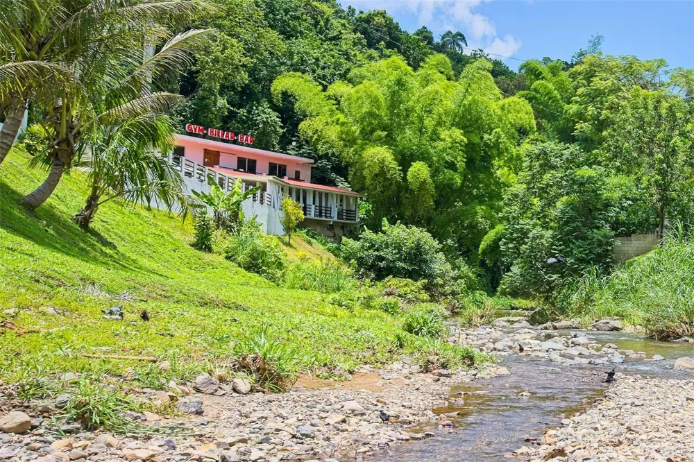135 VILLA PEREZ Adjuntas, PR 00601