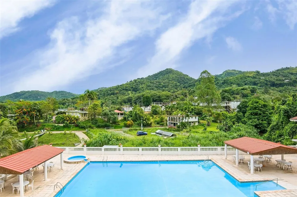135 VILLA PEREZ Adjuntas, PR 00601
