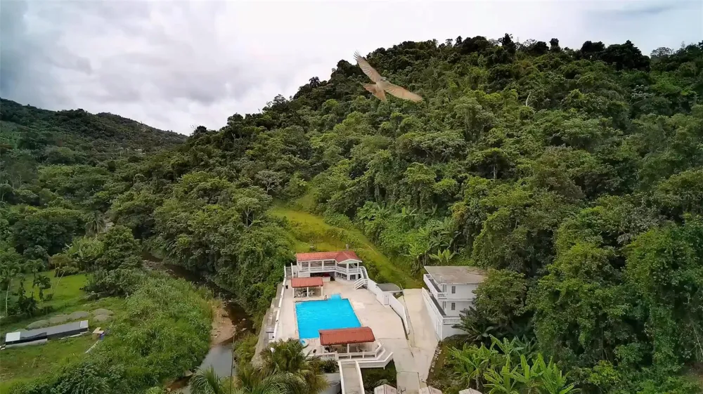 135 VILLA PEREZ Adjuntas, PR 00601