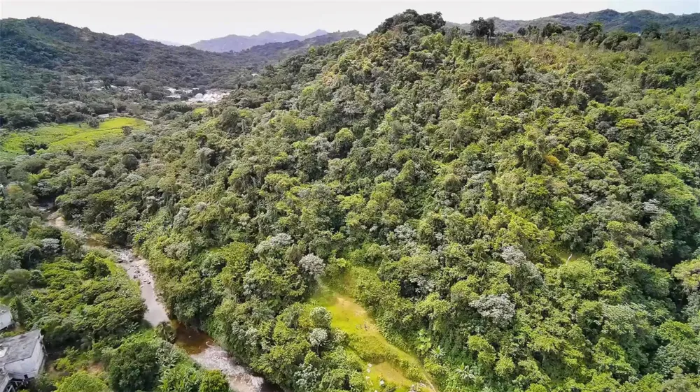 135 VILLA PEREZ Adjuntas, PR 00601