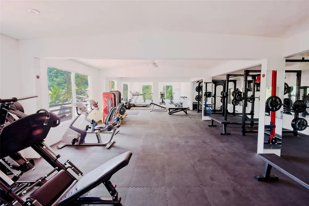135 VILLA PEREZ Adjuntas, PR 00601