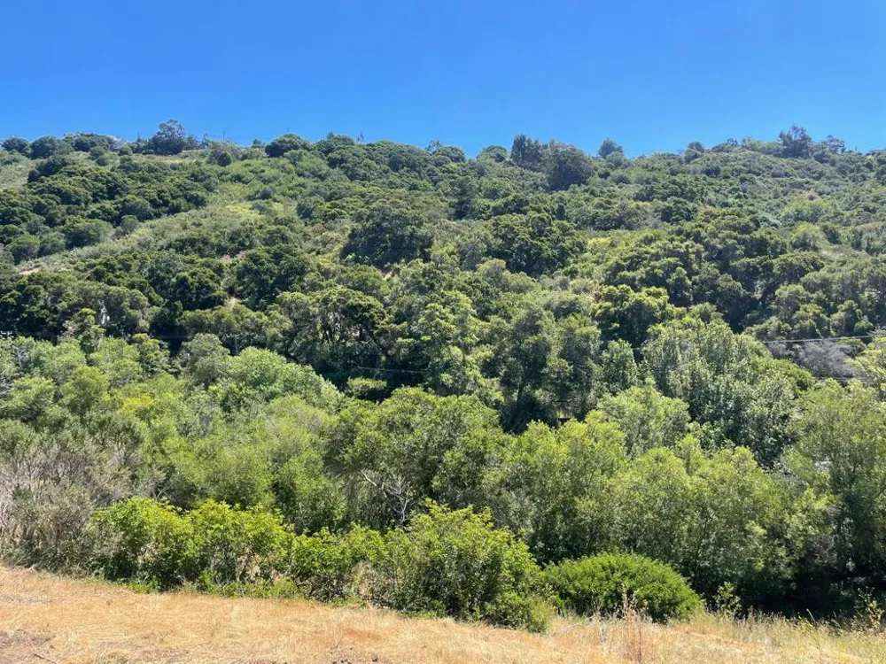 Tartan Trail Road Hillsborough, CA 94010