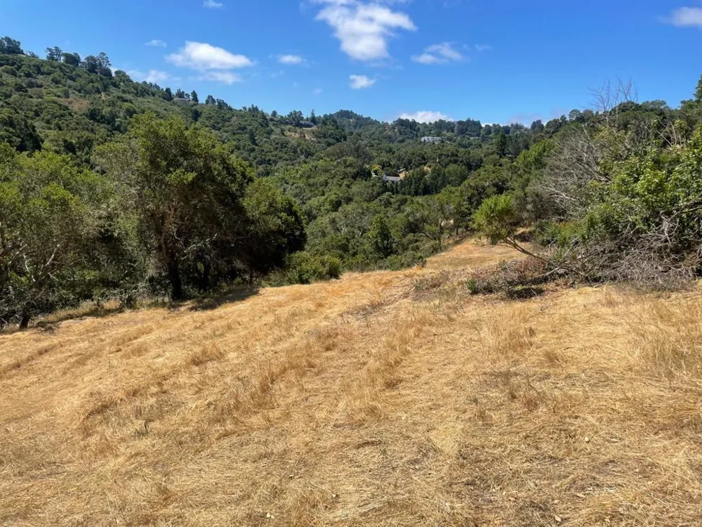 Tartan Trail Road Hillsborough, CA 94010