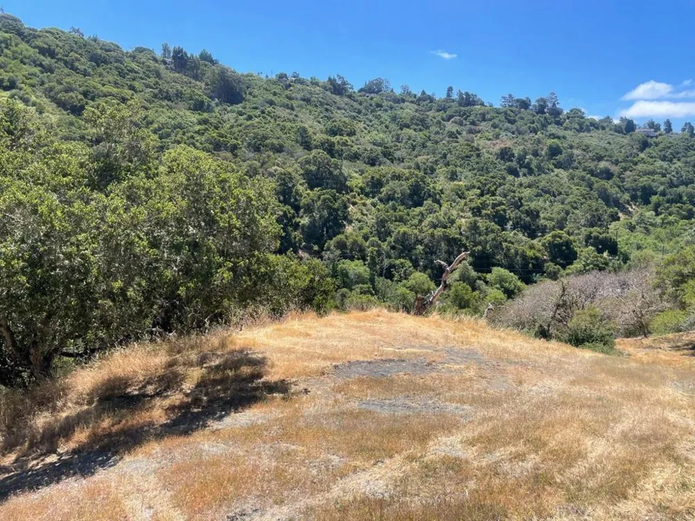 Tartan Trail Road Hillsborough, CA 94010