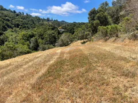 Tartan Trail Road