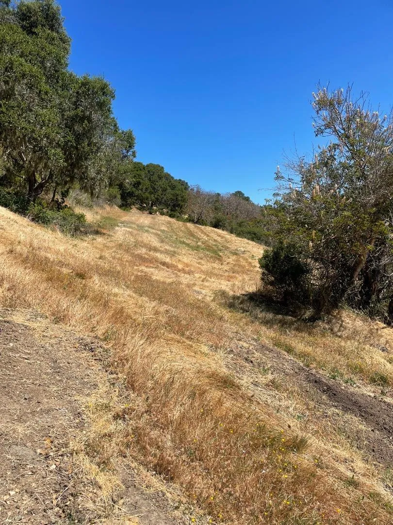 Tartan Trail Road Hillsborough, CA 94010