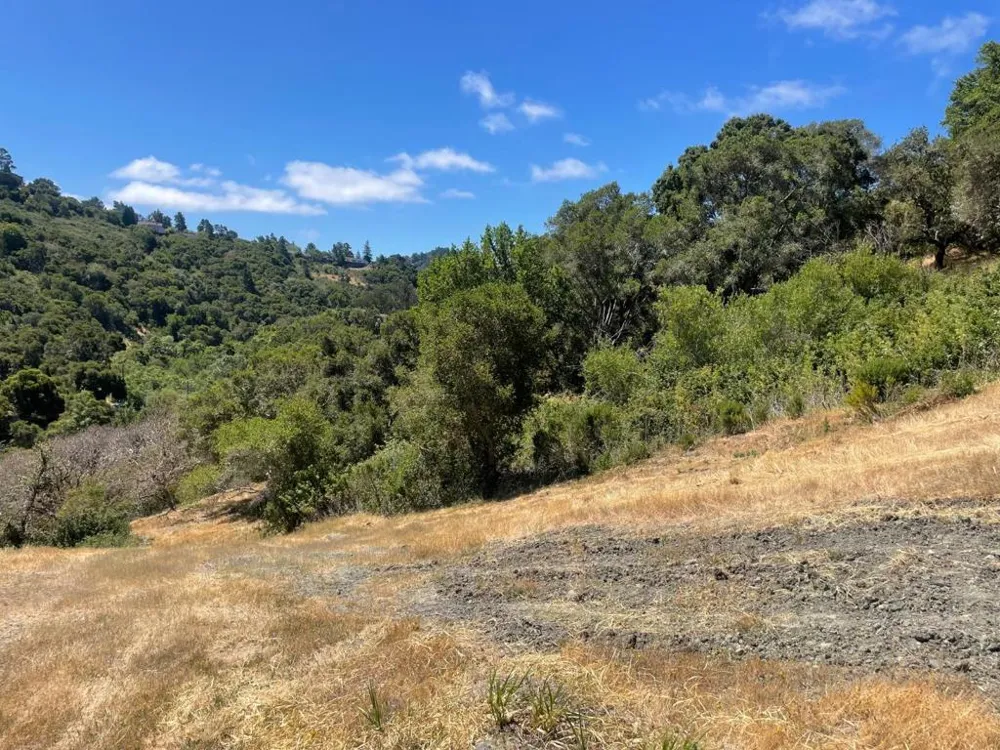 Tartan Trail Road Hillsborough, CA 94010
