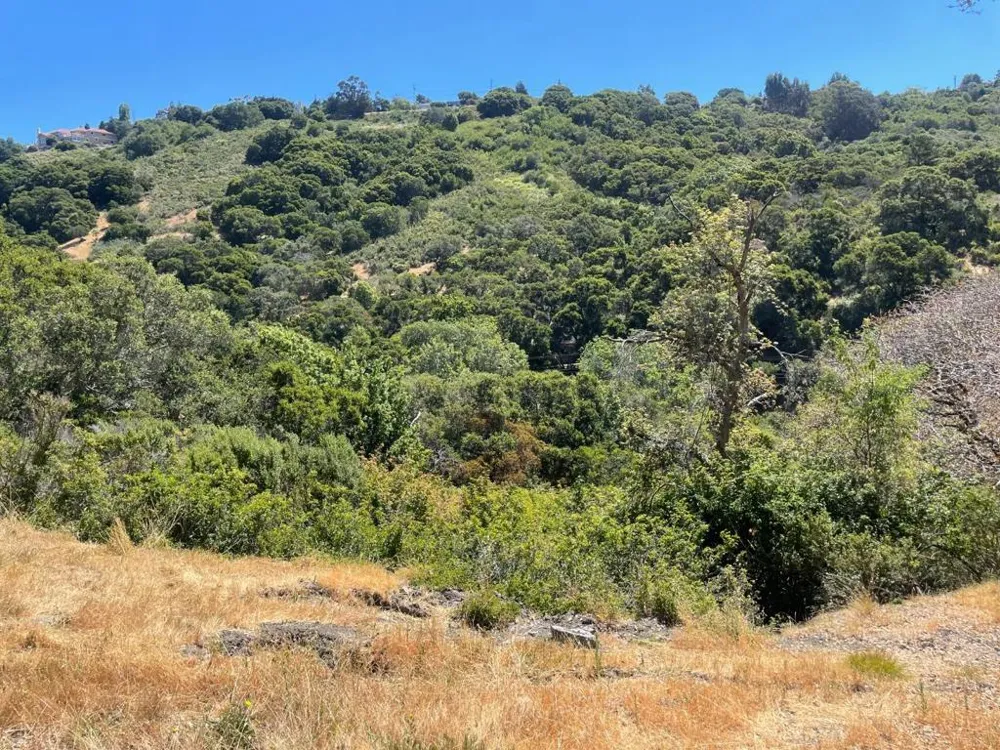 Tartan Trail Road Hillsborough, CA 94010