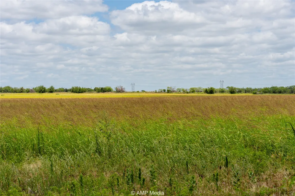 FM 1082 Hawley, TX 79525
