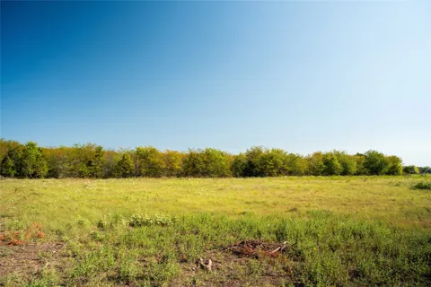 County Road 3660