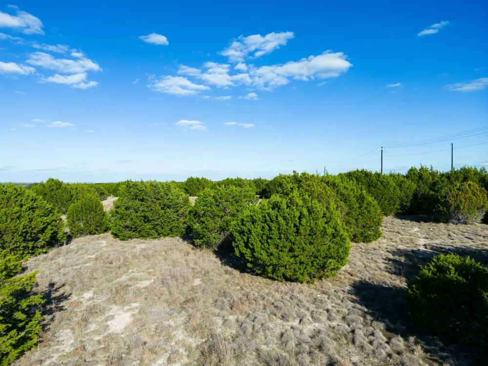 Cherry Laurel Lane Lampasas, TX 76550