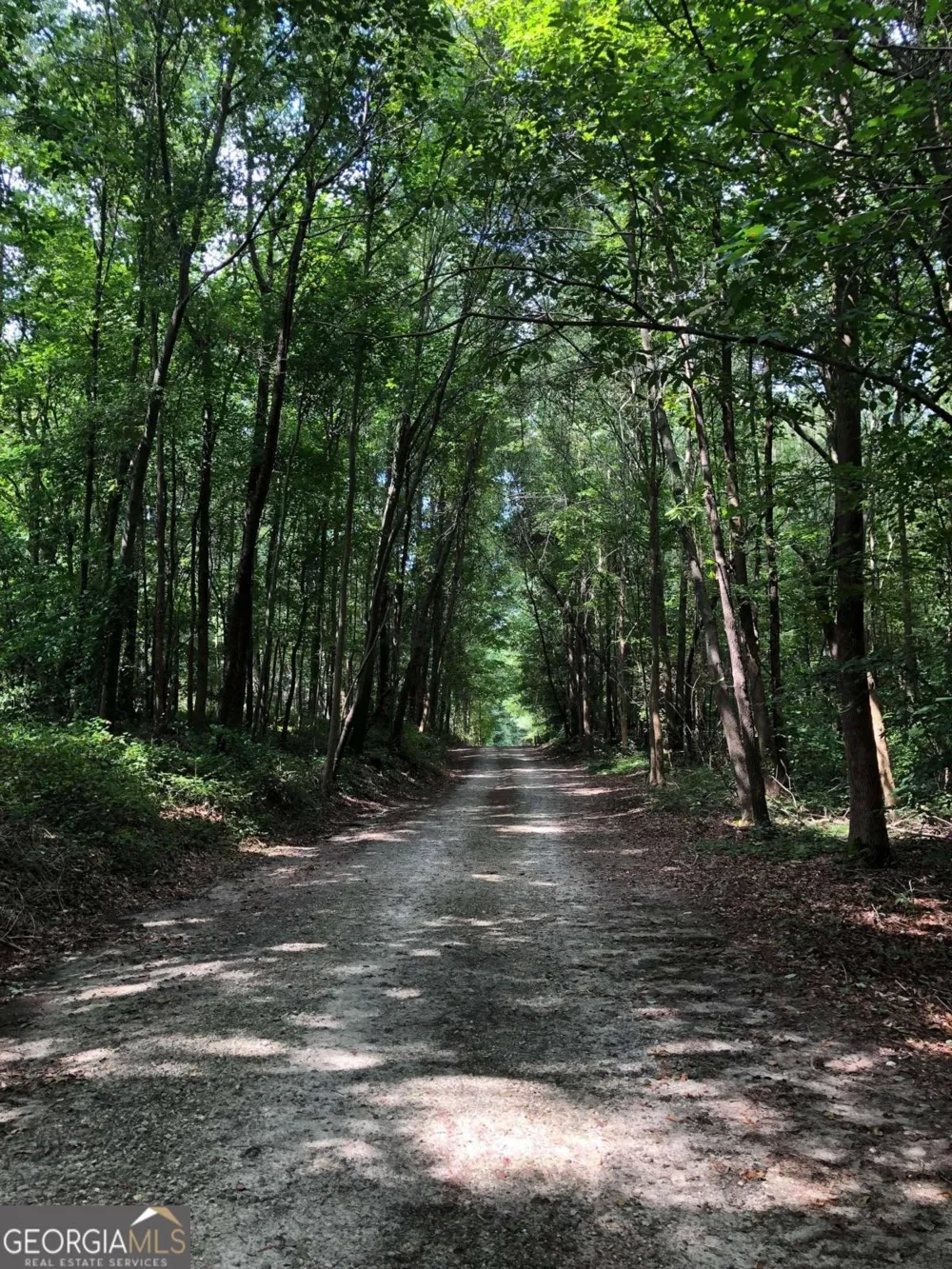 209 Alice Moss LN Alto, GA 30510