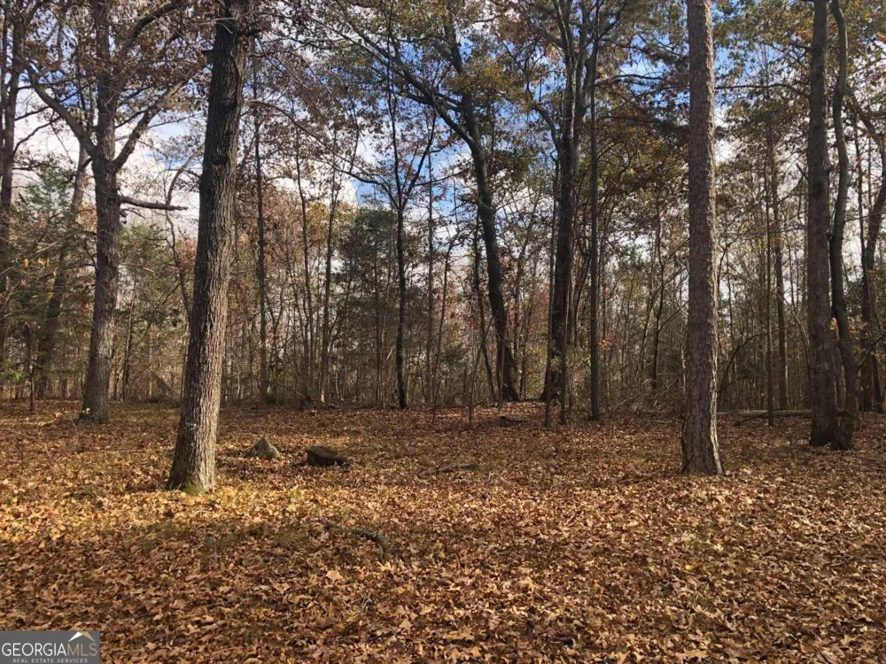 209 Alice Moss LN Alto, GA 30510