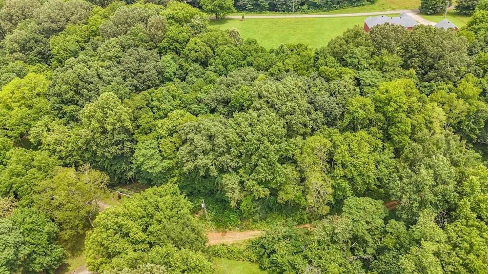 0 Salt Ln Savannah, TN 38372