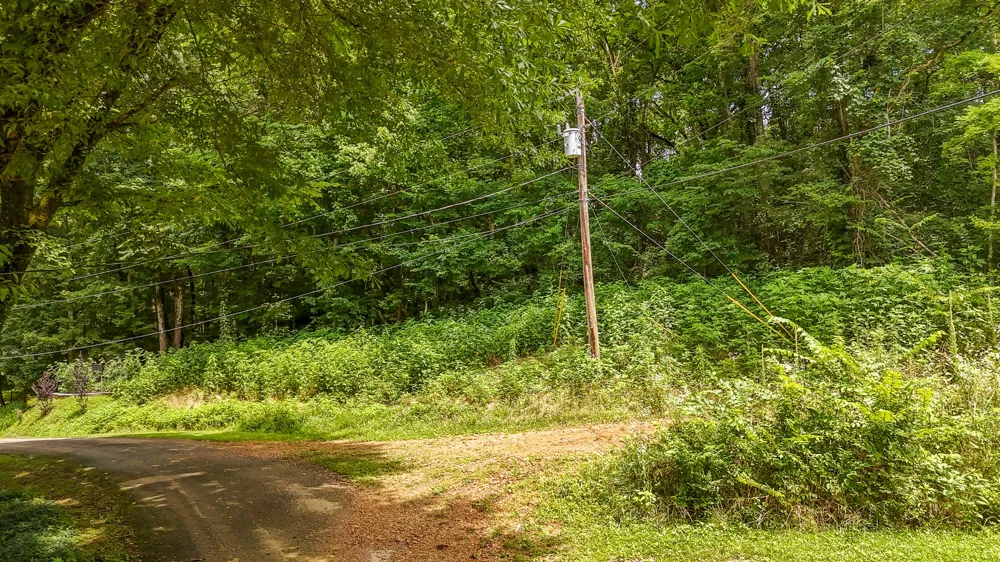 0 Salt Ln Savannah, TN 38372