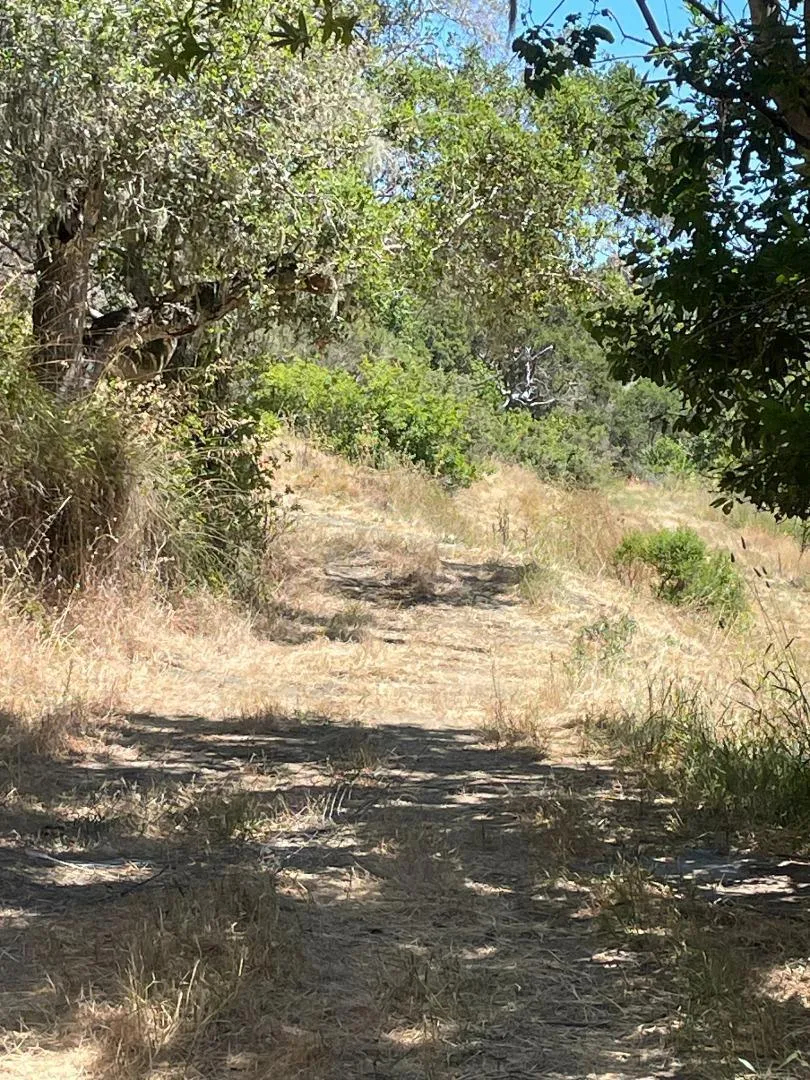 Crystal Springs Rd Hillsborough, CA 94010
