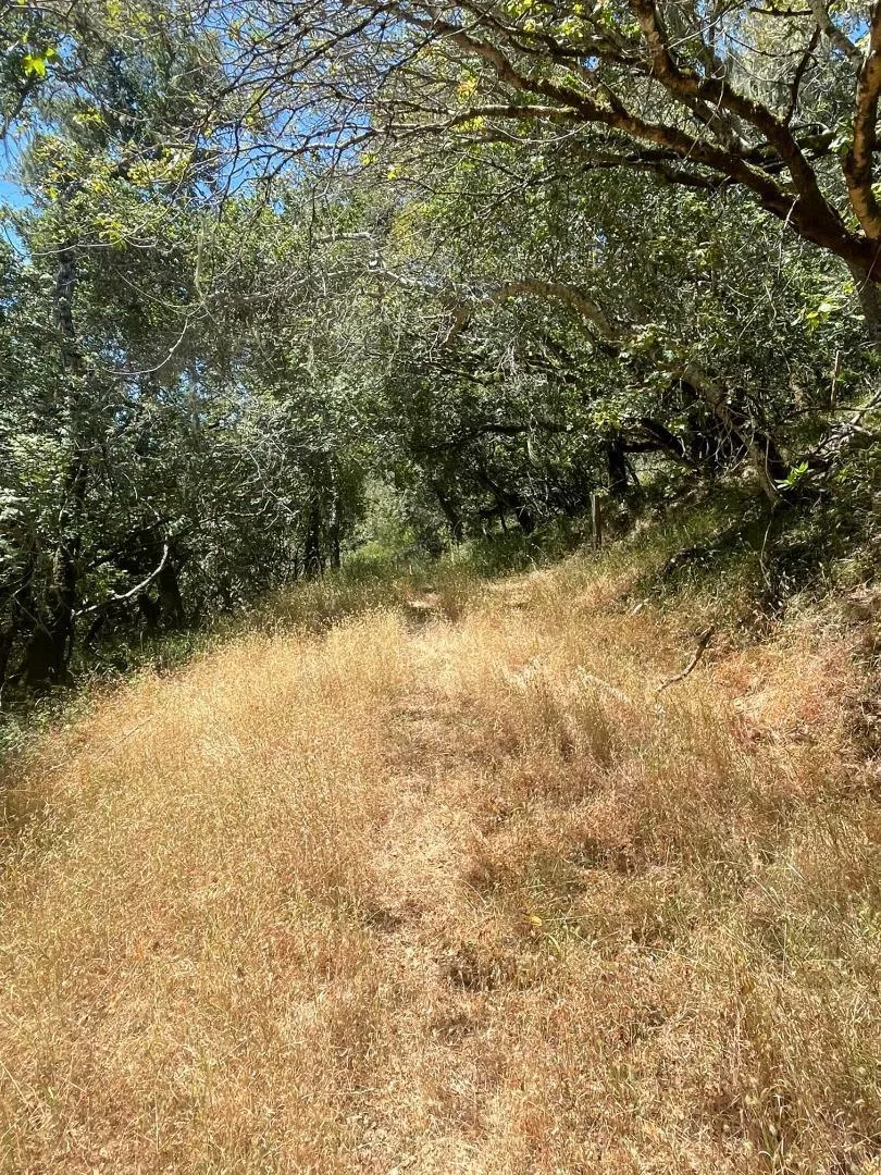 Crystal Springs Rd Hillsborough, CA 94010