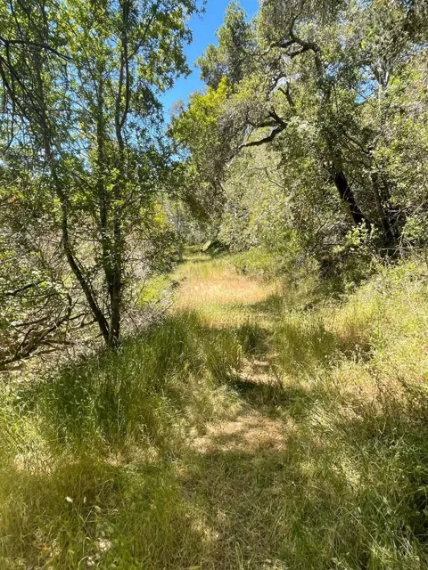 Crystal Springs Rd