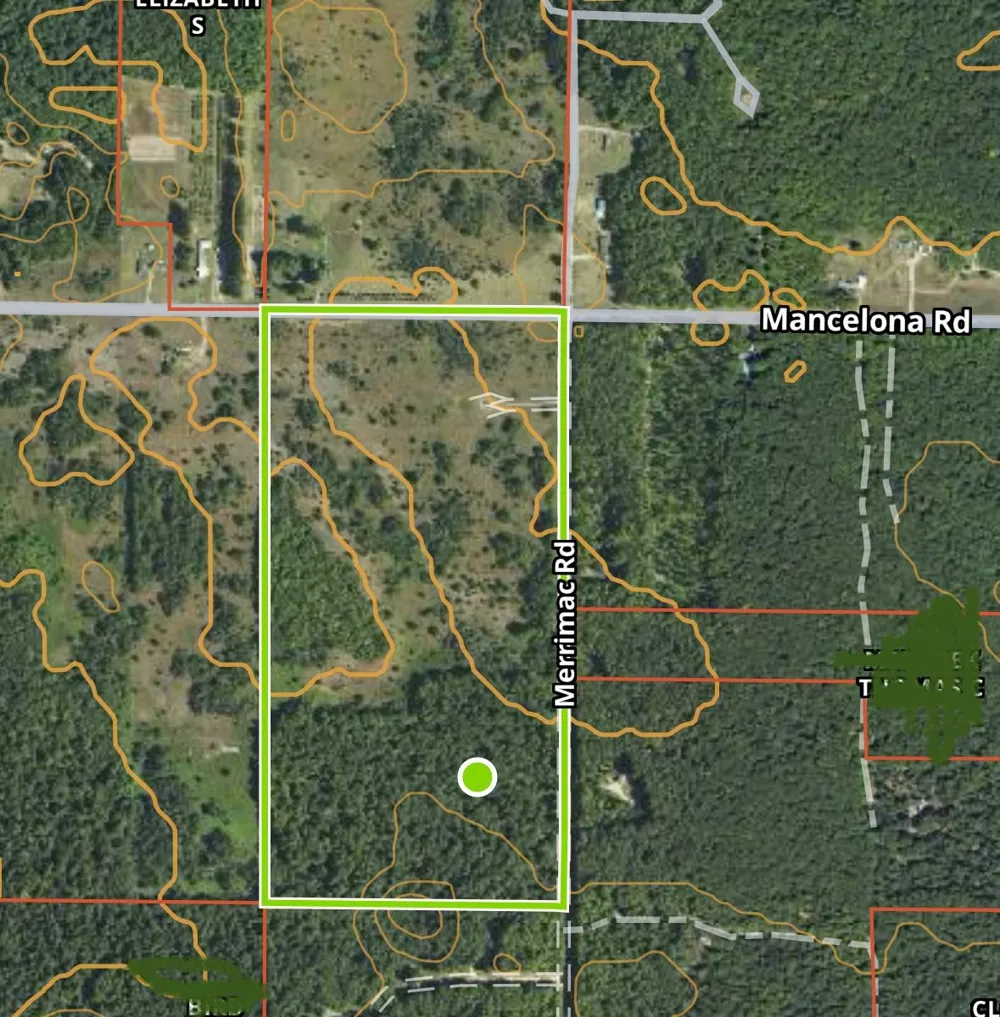 4856 Mancelona Road Mancelona Township, MI 49659