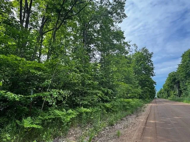 4856 Mancelona Road Mancelona Township, MI 49659