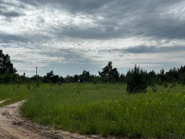 4856 Mancelona Road Mancelona Township, MI 49659