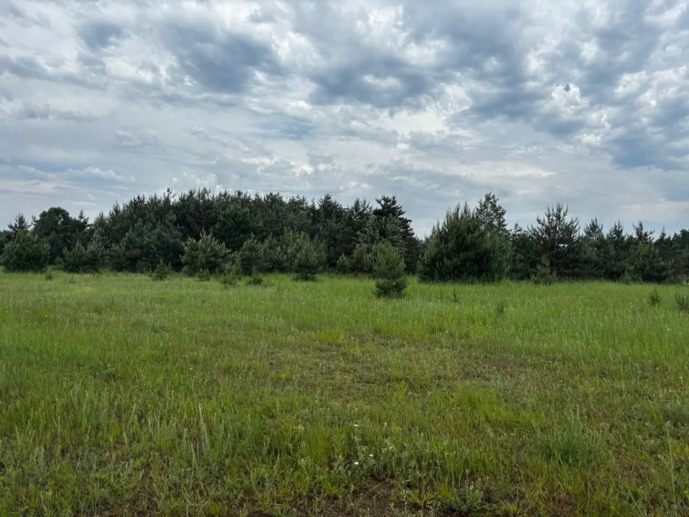 4856 Mancelona Road Mancelona Township, MI 49659