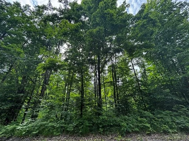 4856 Mancelona Road Mancelona Township, MI 49659