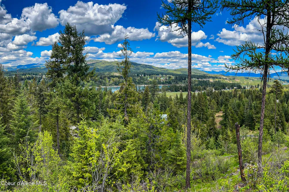 65 Cougar Ridge Lane Priest River, ID 83856
