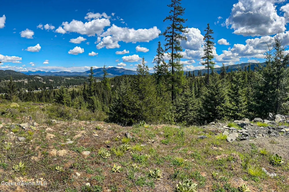 65 Cougar Ridge Lane Priest River, ID 83856