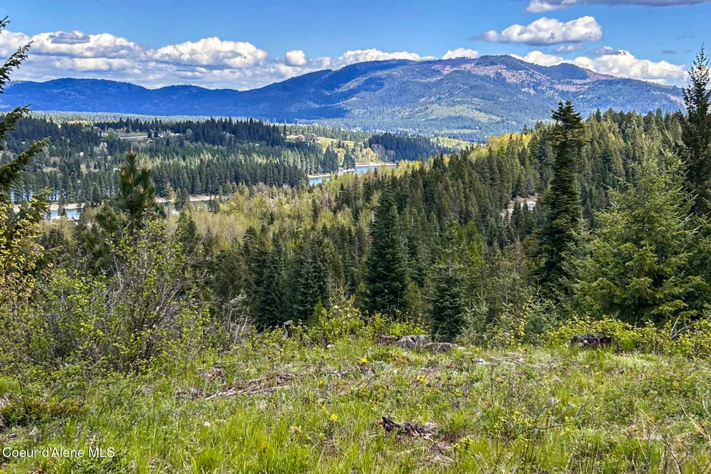 65 Cougar Ridge Lane Priest River, ID 83856