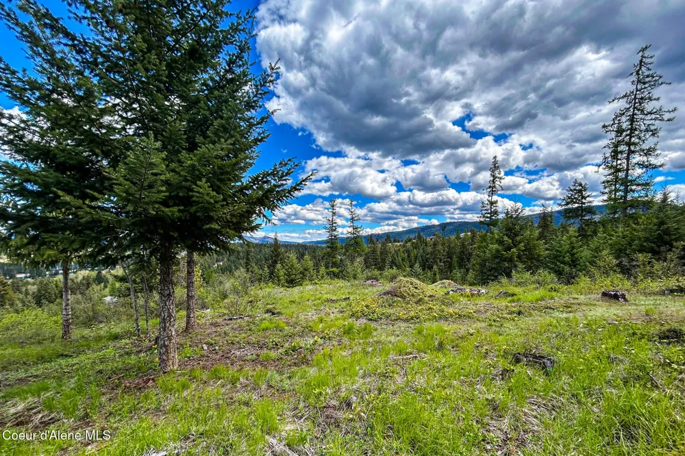 65 Cougar Ridge Lane Priest River, ID 83856
