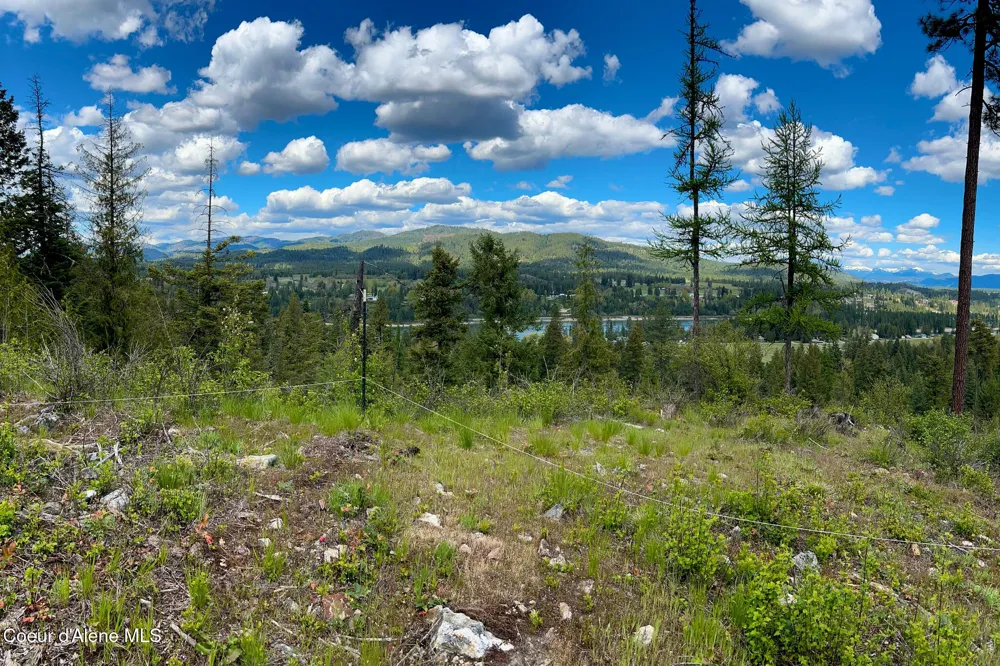 65 Cougar Ridge Lane Priest River, ID 83856