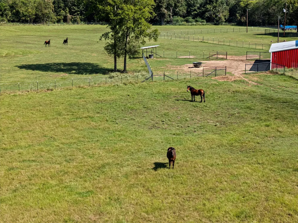 5989 HWY. 259 Diana, TX 75640