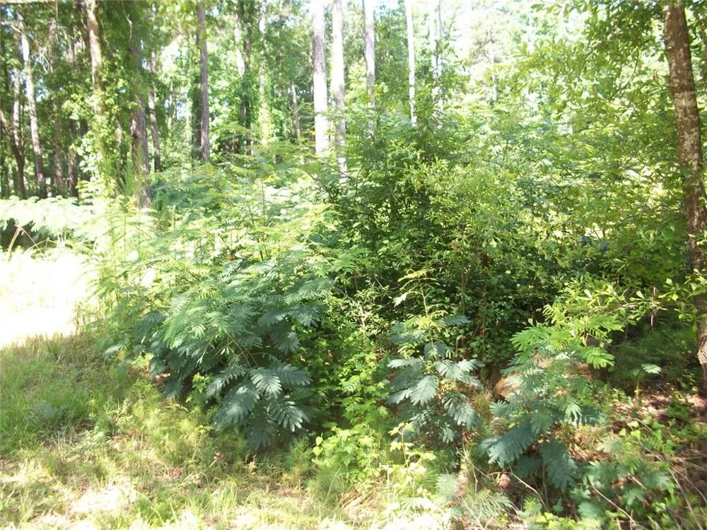43 Shady Lane Jackson, GA 30233
